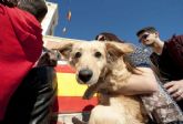 La campaña de esterilizacion de mascotas se retrasa dos semanas