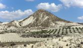 IU-Verdes pide un 'verdadero' plan de lucha contra la desertificacin de Lorca