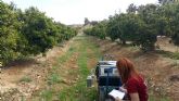 Investigadores de la UPCT reducen un 10% las emisiones de CO2 de almendros y ctricos con prcticas sostenibles
