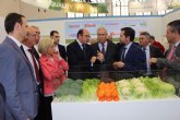 El Gobierno regional potenciará la promoción internacional de las empresas hortofrutícolas murcianas