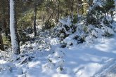 Temporal de frío y nieve