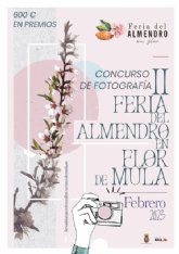 II Concurso de Fotografía Feria del Almendro en Flor