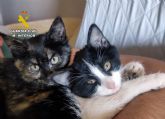 La Guardia Civil investiga a tres personas como presuntas autoras de delito contra los animales (maltrato animal)