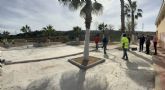 Sangonera la Verde ampla sus espacios verdes con el nuevo Jardn Camino del Palmeral de 1.387 metros cuadrados