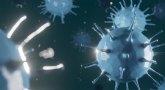 El Gobierno regional crea un plan de contingencia para minimizar el impacto del coronavirus en las empresas murcianas