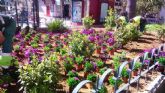 Desarrollo Sostenible intensifica los trabajos de reposicion de flores en parterres y jardines para un mayor embellecimiento