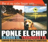 Calidad de Vida continúa con la campaña para registrar a perros, gatos y hurones