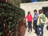 Los alumnos del CIFEA de Molina de Segura conocen las ltimas tendencias en el diseño y creacin de jardines innovadores