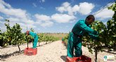 Luzón consigue el certificado de bodega medioambientalmente sostenible