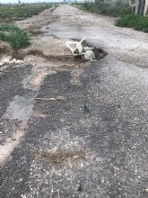 El PP alerta que la carretera de subida al castillo presenta un peligroso deslizamiento que se est agravando por la temeraria obstruccin de la cuneta
