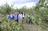 Lpez Miras confirma 'grandes daños' por el granizo y anuncia que la Comunidad 'pagar el tratamiento de rboles afectados y mediar en el cobro de seguros'