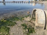 Comunicado sobre actuaciones de Ayuntamientos en el entorno del Mar Menor