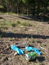 8 riesgos y 8 oportunidades de la COVID-19 para el medio ambiente