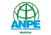 ANPE Murcia se concentra por la dignificacin de la escuela pblica