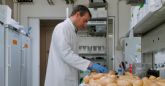 El proyecto PataFEST incopora IA para afrontar los retos del campo
