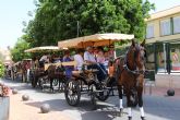 El XIII Encuentro de Carruajes 'Villa de San Pedro' llena las calles de calesas