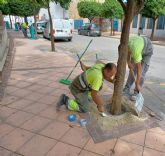 Murcia pone en marcha una campaña de renovacin integral de los alcorques del municipio