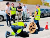 El Gobierno local intensifica la lucha contra mosquitos y cucarachas en Molina de Segura