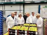 La Cooperativa Campos de Jumilla realiza nuevas inversiones para reforzar la competitividad del sector hortofrut�cola