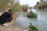 La CHS invierte m�s de 203.000 euros en el estudio de la poblaci�n de peces y la eutrofizaci�n en embalses de la demarcaci�n del Segura