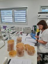 El Laboratorio Regional de Salud P�blica refuerza la seguridad alimentaria y ambiental tras analizar m�s de 6.900 muestras en 2025