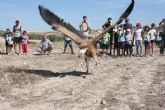 Agricultura libera este fin de semana diversas aves tras su paso por el Centro de Recuperacin de Fauna Silvestre