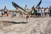 Agricultura libera este fin de semana diversas aves tras su paso por el Centro de Recuperación de Fauna Silvestre