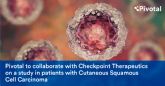 Pivotal colabora con checkpoint therapeutics en un estudio en pacientes con carcinoma cutáneo de células escamosas