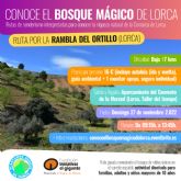La Fundacin Iniciativas El Gigante y la Asociacin Regional Bosqueo2 lanzan su primer proyecto 'Conoce el bosque Mgico de Lorca'