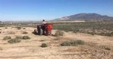 Siembras para la fauna silvestre en La Alcanara