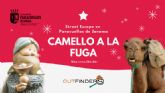 Esta Navidad llega el Street Escape 'Camello a la Fuga' a Paracuellos de Jarama