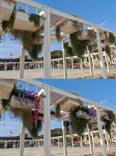 La APC activa el Proyecto de Refuerzo para revitalizar los espacios pblicos del Puerto y su fachada martima con jardinera y reposicin de marras