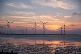 Tres tendencias para el sector de las energías renovables en 2020