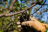 Nuevos cursos agrícolas para los meses de febrero y marzo