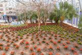 Seis mil nuevas flores adornan el jardn de la Plaza del Rey