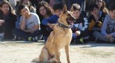 Exhibición canina de animales que trabajan para contribuir a la recuperación psicológica de víctimas de violencia de género