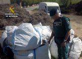 La Guardia Civil se incauta de 100 kilos de plantas aromáticas recolectadas ilícitamente