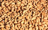 Unin de Uniones confa en que el Acuerdo de exportacin de almendra a China beneficie a los productores espanoles