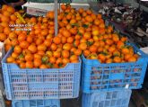 La Guardia Civil detiene a cuatro personas por la sustracción de quince toneladas de mandarinas