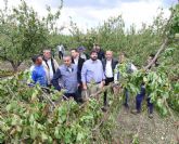 Cano: 'En menos de 24 horas, el presidente Lpez Miras da respuesta inmediata a los agricultores afectados por el granizo'