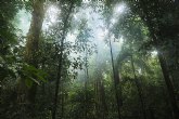 Los cambios en los patrones de sueño por exceso de luz pueden influir en la evolución del deterioro cognitivo leve