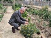 Más de 3.000 mariquitas refuerzan el control biológico de plagas en los Huertos de Ocio de Murcia