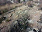 Actuaciones de diversificacin de la vegetacin de ribera del ro luchena en la cuenca del embalse de puente, trmino municipal de lorca