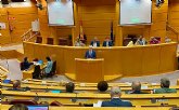 Salud recuerda ante el Senado que la solucin a la falta de profesionales en Atencin Primaria es un 'deber del Gobierno de Espana'