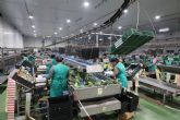 El paro vuelve a caer en Lorca hasta m�nimos hist�ricos, consolidando la tendencia positiva en generaci�n de empleo