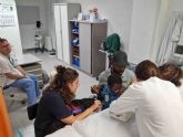Proyecto con perros con ninos durante extracciones de sangre