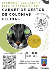 Quieres ser gestor de colonias felinas?