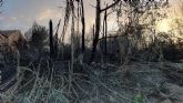 Cambiemos Murcia pide la recuperacin ambiental del Azarbn de Puebla de Soto, arrasado por un incendio