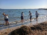 La Comunidad retira ms de 4.200 toneladas de biomasa del litoral del Mar Menor desde enero