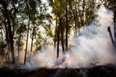 Agosto comienza con temperaturas extremas y riesgo mximo de incendios